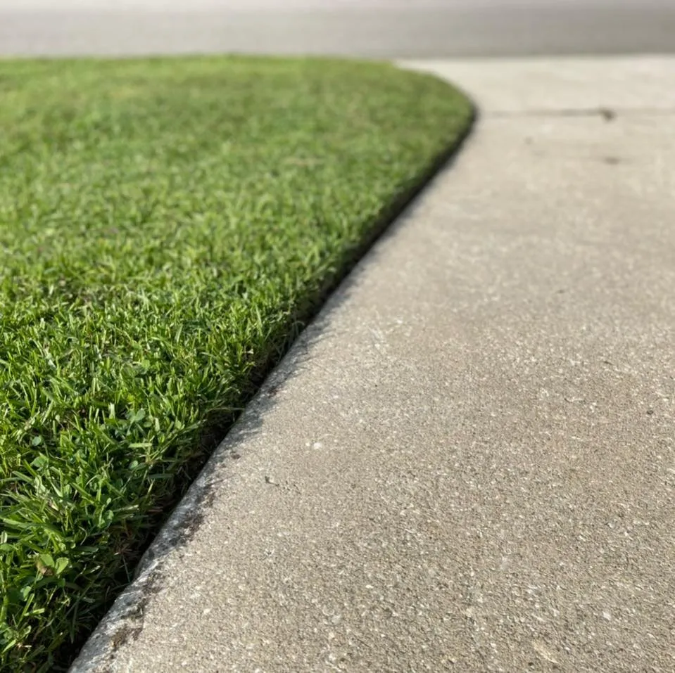 Top-rated yard cleanup service experts serving North Charleston, SC - Augment Landscaping