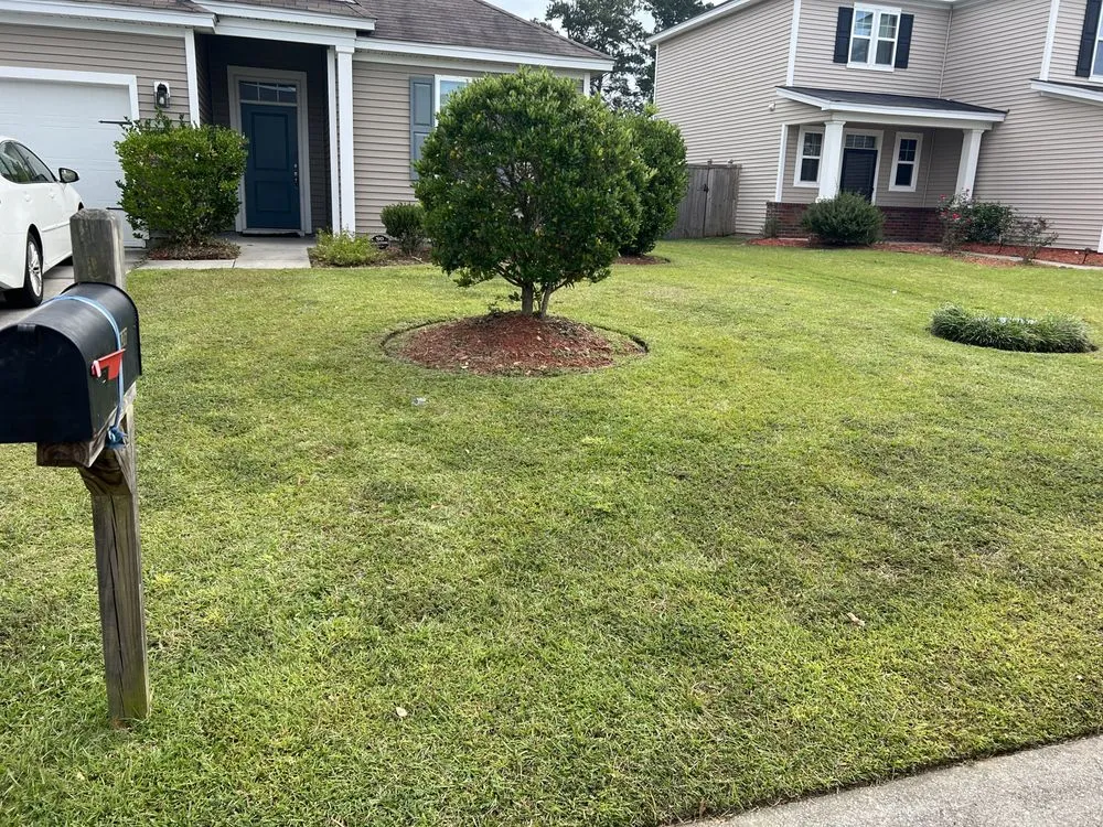 Top-rated outdoor landscaping experts serving North Charleston, SC - Augment Landscaping