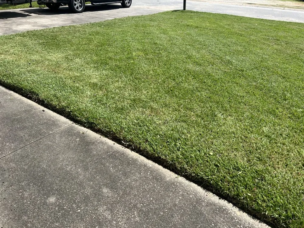 Trusted yard cleanup service for year-round maintenance across North Charleston, SC - Augment Landscaping