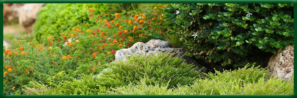 Custom yard cleanup service for beautiful yards in Havre de Grace, MD by August