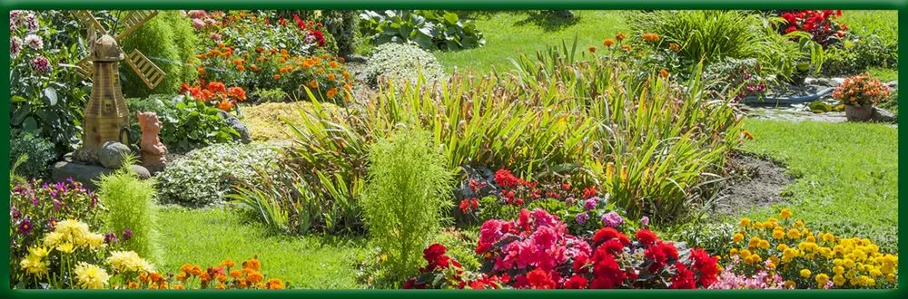 Top-rated yard maintenance for homes in Havre de Grace, MD by August