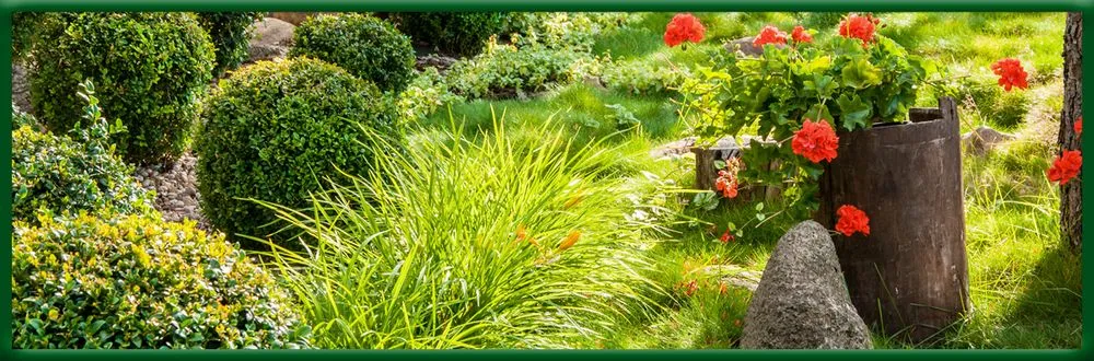 Affordable lawn mowing service for beautiful yards across Havre de Grace, MD - August