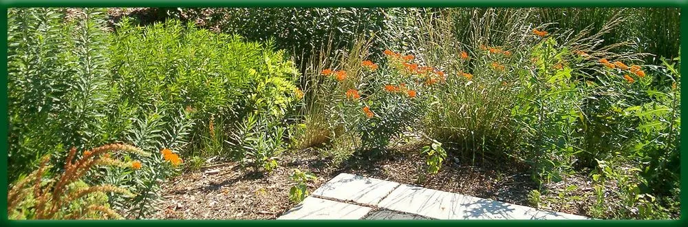 Local landscape installation for beautiful yards in Havre de Grace, MD by August