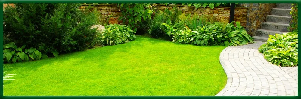 Expert landscaping services in Havre de Grace, MD - August