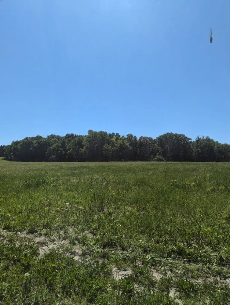 Professional garden landscaping for outdoor upgrades in Clearwater, MN by Augusta Brothers Lawn Care