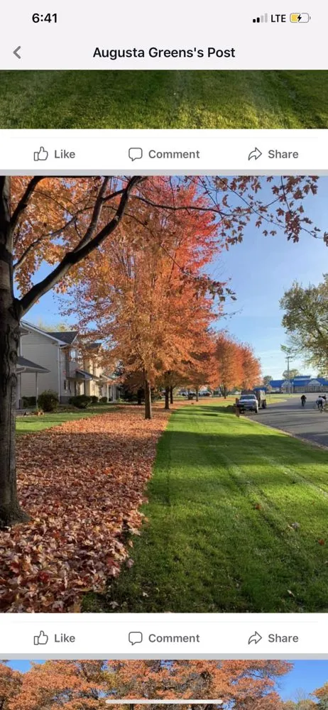 Reliable yard cleanup service in Andover, MN - Augusta Greens