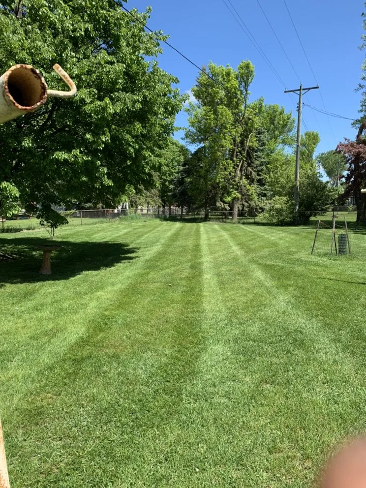 Trusted yard maintenance in Andover, MN - Augusta Greens