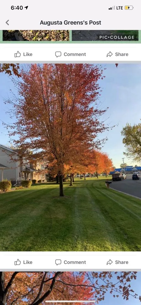 Reliable residential landscaping for year-round maintenance in Andover, MN by Augusta Greens