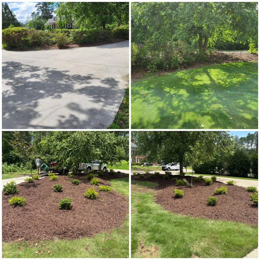 Local yard cleanup service in Martinez, GA - Augusta Land Design