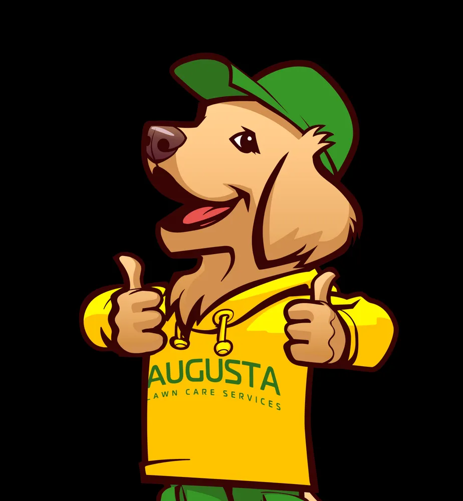 Local yard cleanup service for residential properties across Virginia Beach, VA - Augusta Lawn Care - Virginia Beach