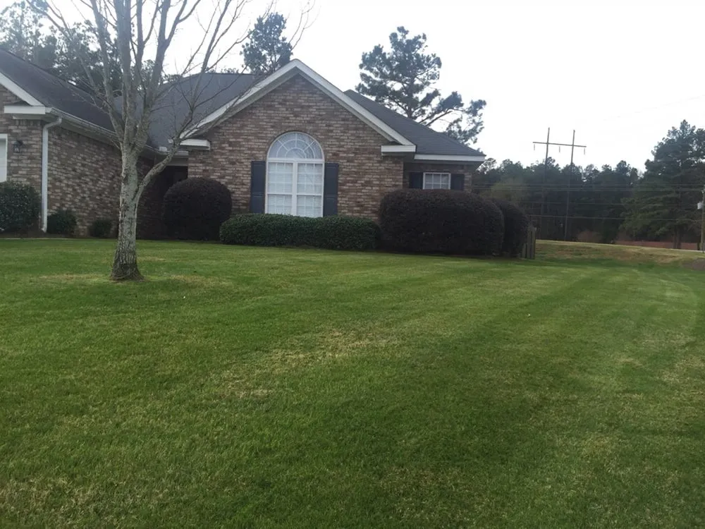 Reliable yard cleanup service in Augusta, GA - Augusta Lawn Care