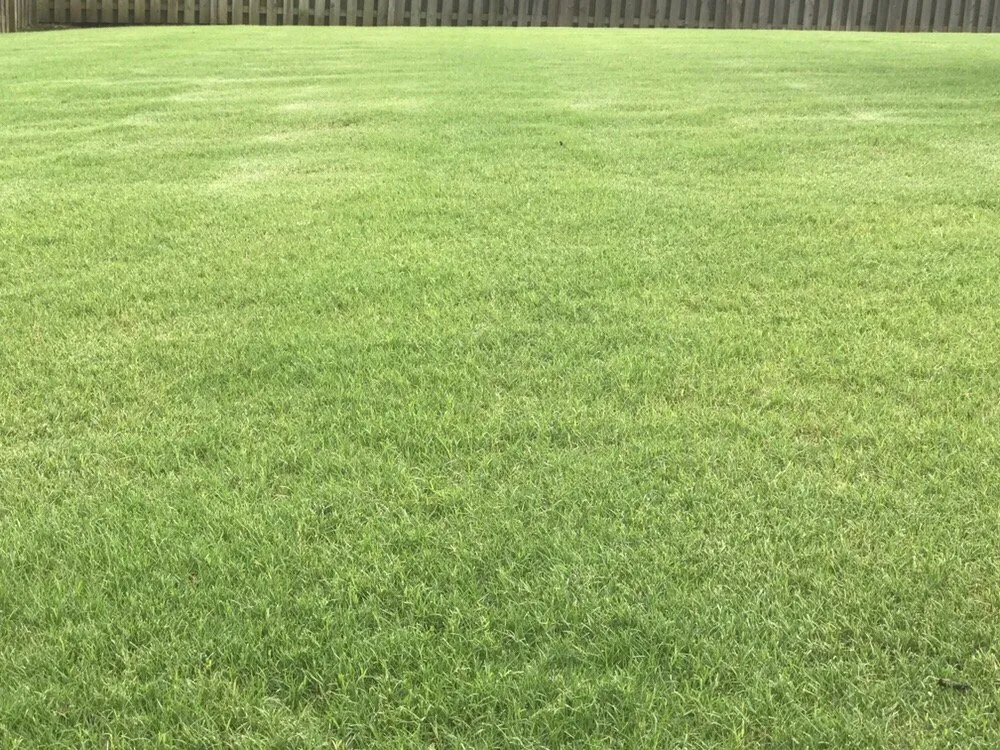 Trusted landscape design in Augusta, GA by Augusta Lawn Care