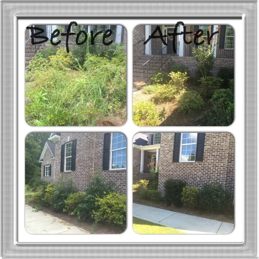 Professional landscape installation in Augusta, GA - Augusta Lawn Care