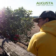 Professional yard cleanup service near you in Merritt Island, FL by Augusta Lawn Care