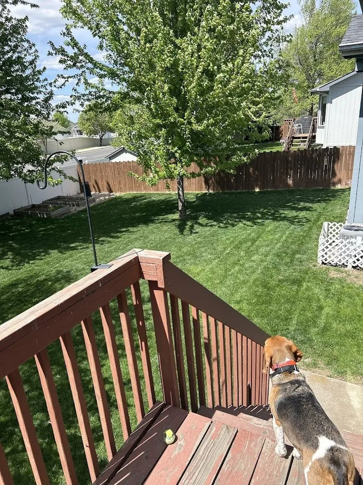 Trusted lawn care service experts serving Medical Lake, WA - Augusta Lawn Care of Cheney