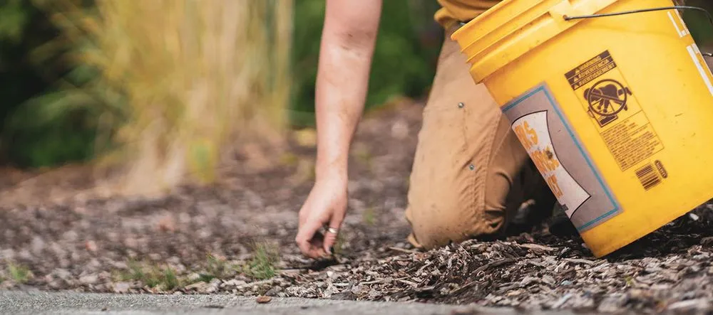 Custom outdoor landscaping experts serving Columbia, SC - Augusta Lawn Care of Columbia