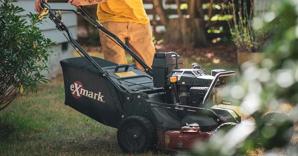 Professional yard cleanup service in Columbia, SC - Augusta Lawn Care of Columbia