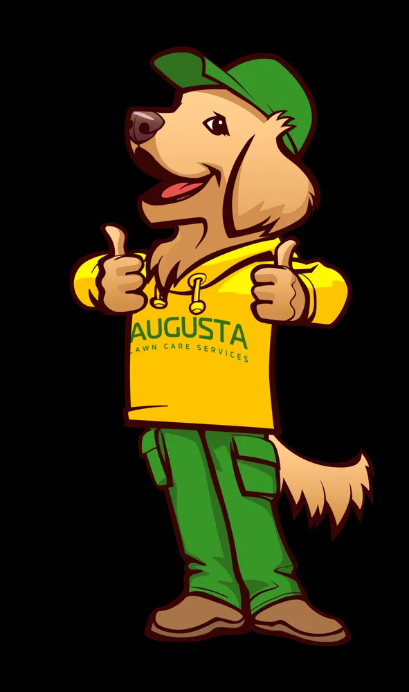 Custom lawn mowing service in Erie, CO - Augusta Lawn Care of Lafayette