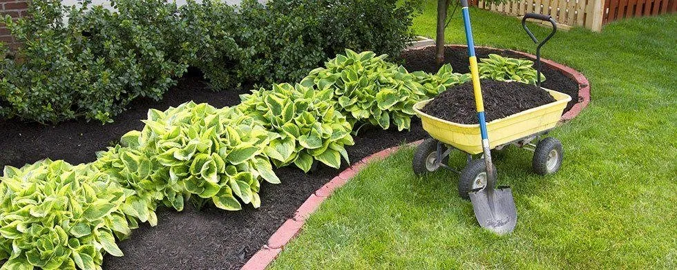 Affordable outdoor landscaping for residential properties across Genoa City, WI - Augusta Lawn Care of Lake Geneva