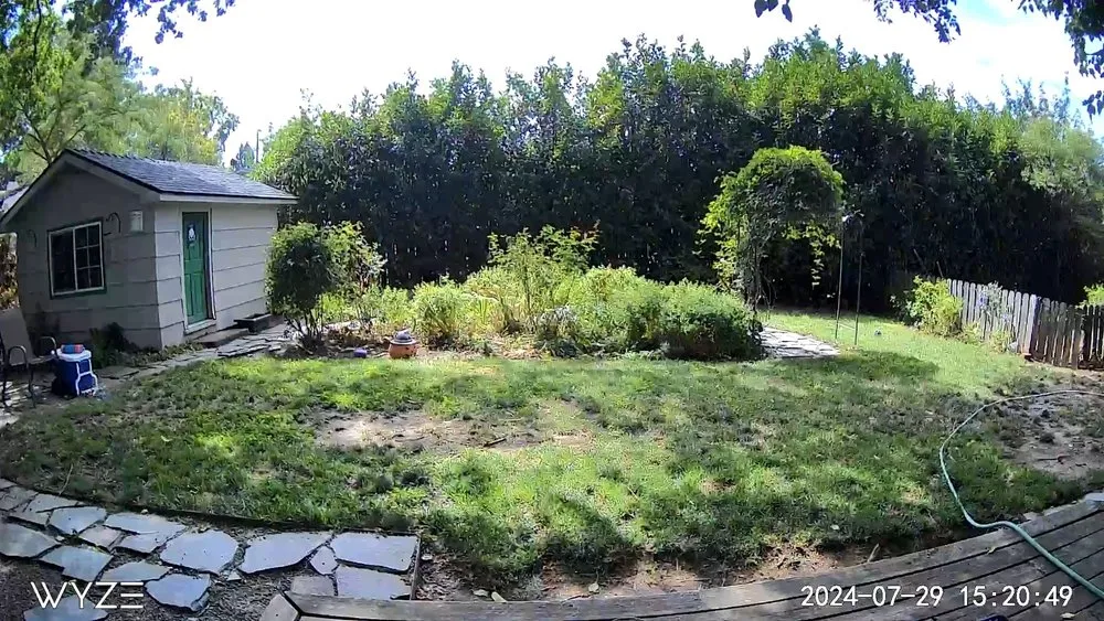 Top-rated yard cleanup service in Central Point, OR by Augusta Lawn Care Of Medford