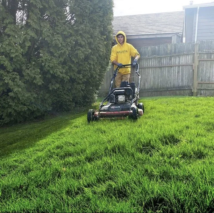 Reliable yard cleanup service near you in Redmond, WA by Augusta Lawn Care of Redmond