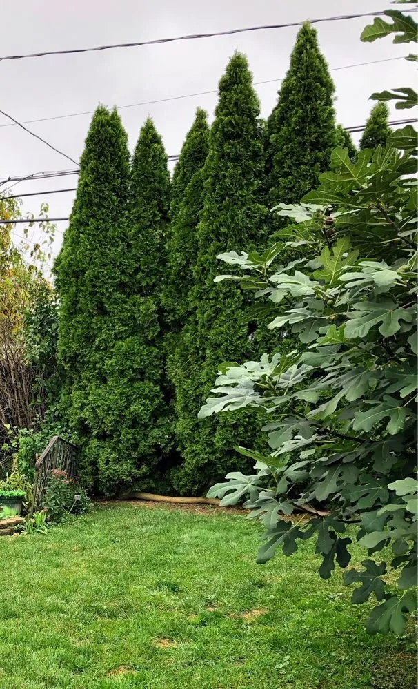 Professional outdoor landscaping in Westbury, NY - Augusta Lawn Care of Westbury