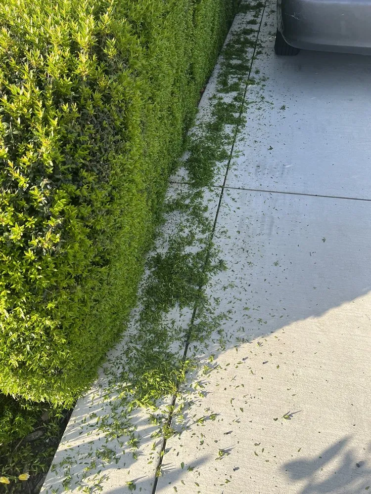 Trusted landscape design near you across Tracy, CA - Augusta Lawn Care Services - Tracy