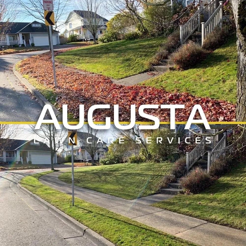 Custom lawn care service for homes across Tracy, CA - Augusta Lawn Care Services - Tracy