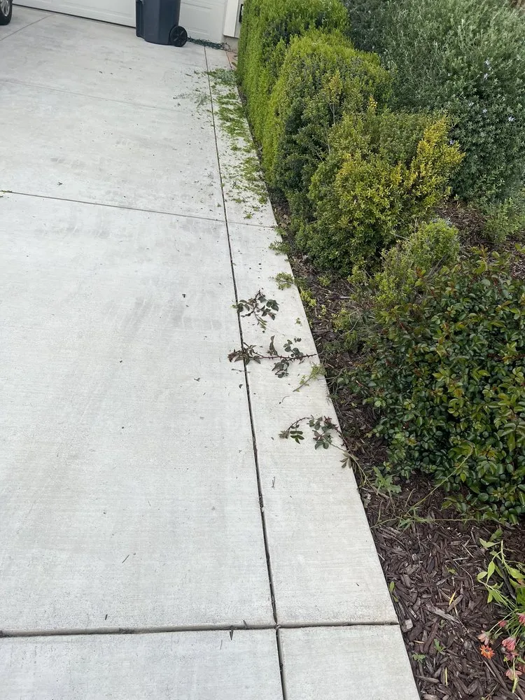 Trusted landscaping services experts serving Tracy, CA - Augusta Lawn Care Services - Tracy