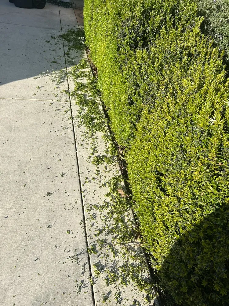 Affordable landscaping services in Tracy, CA - Augusta Lawn Care Services - Tracy