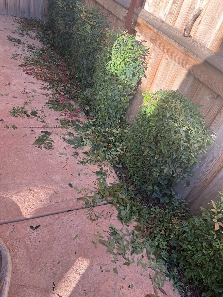 Custom residential landscaping experts serving Tracy, CA - Augusta Lawn Care Services - Tracy