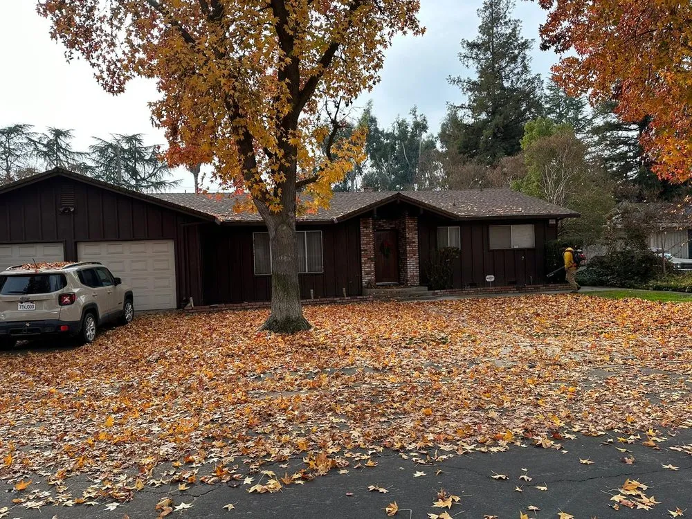 Trusted outdoor landscaping near you across Tracy, CA - Augusta Lawn Care Services - Tracy