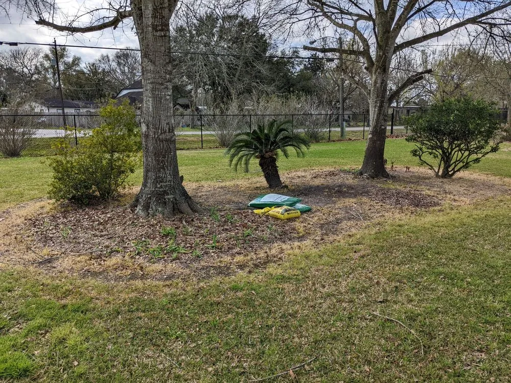 Custom lawn care service in Bacliff, TX - Augusta Lawn Care Services