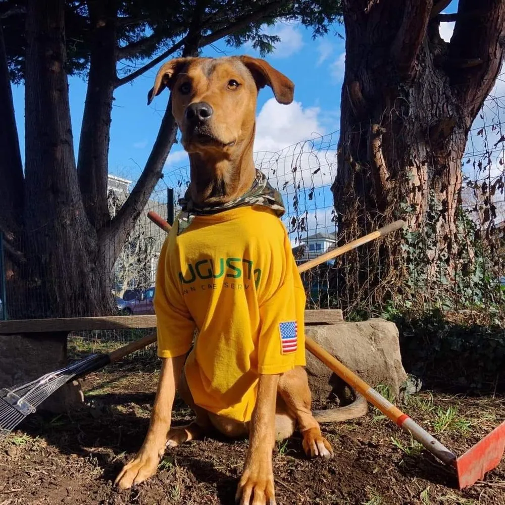 Custom outdoor landscaping near you across Bacliff, TX - Augusta Lawn Care Services