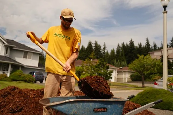 Augusta Lawn Care Services