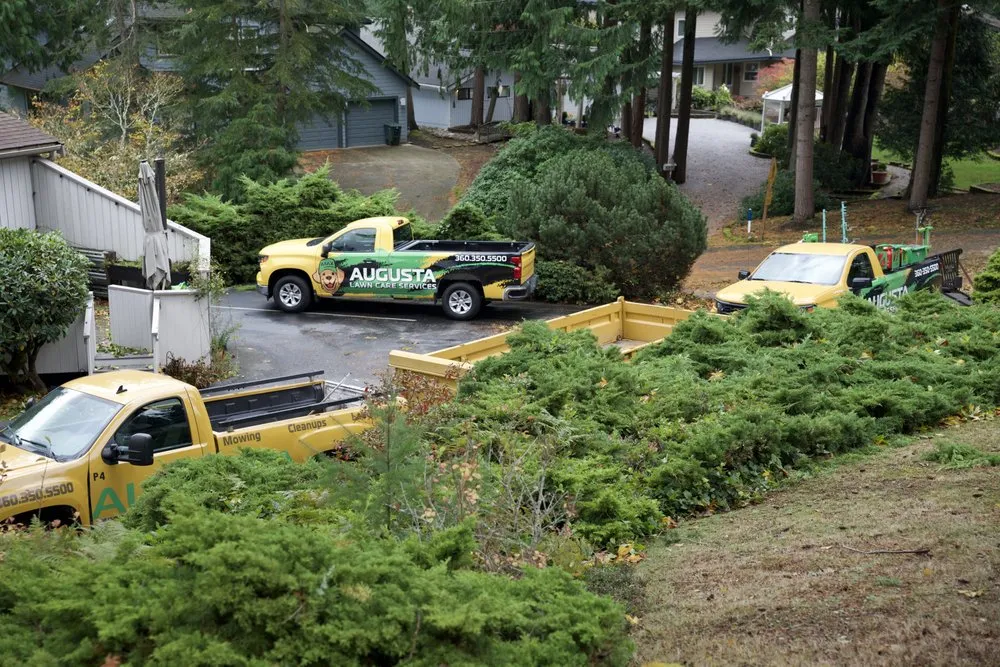 Custom yard cleanup service experts serving Cleveland, TN - Augusta Lawn Care Services