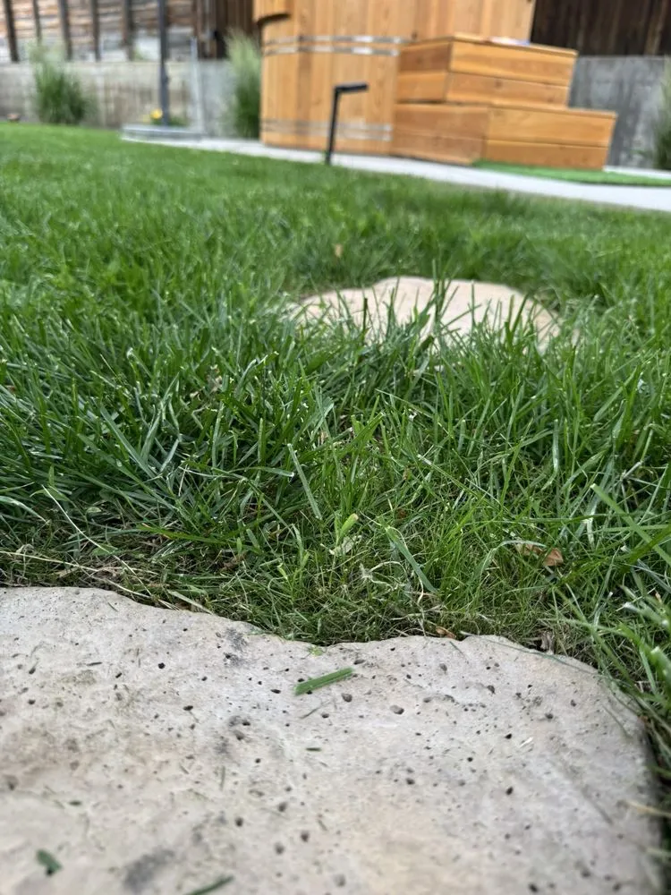 Local landscaping services experts serving Denver, CO - Augusta Lawn Care Services