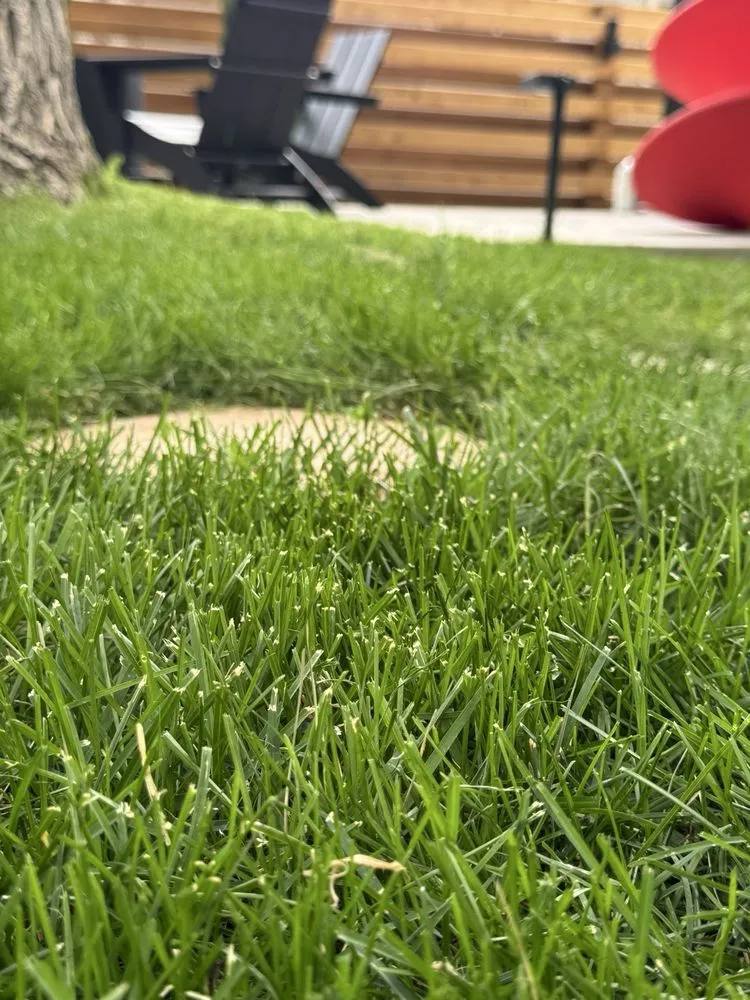 Affordable lawn mowing service in Denver, CO by Augusta Lawn Care Services