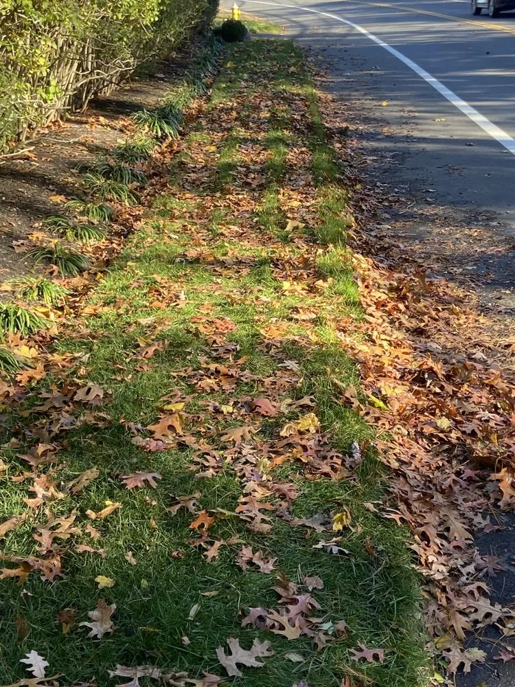 Expert landscaping services in East Quogue, NY by Augusta Lawn Care Services