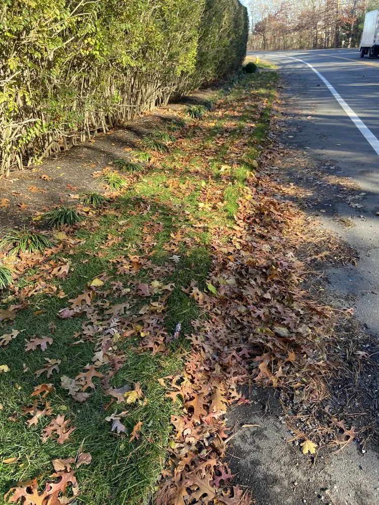 Top-rated lawn care service for beautiful yards in East Quogue, NY by Augusta Lawn Care Services