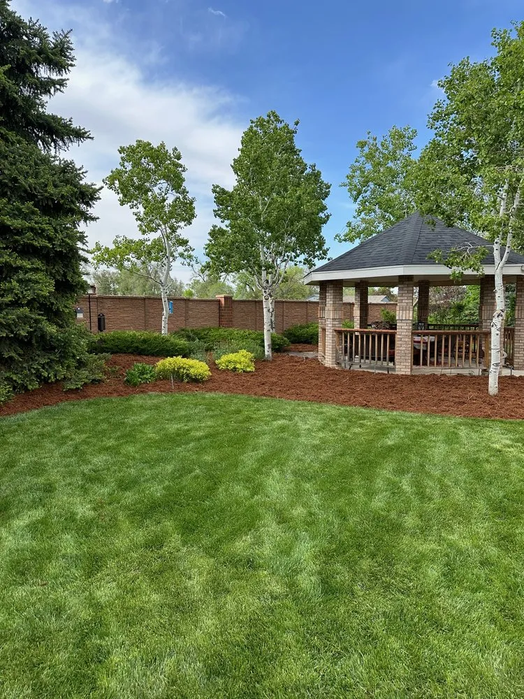 Expert lawn care service experts serving Greeley, CO - Augusta Lawn Care Services