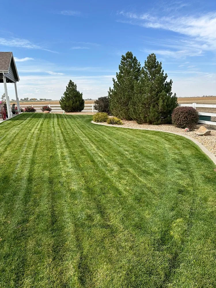 Top-rated yard maintenance in Greeley, CO by Augusta Lawn Care Services