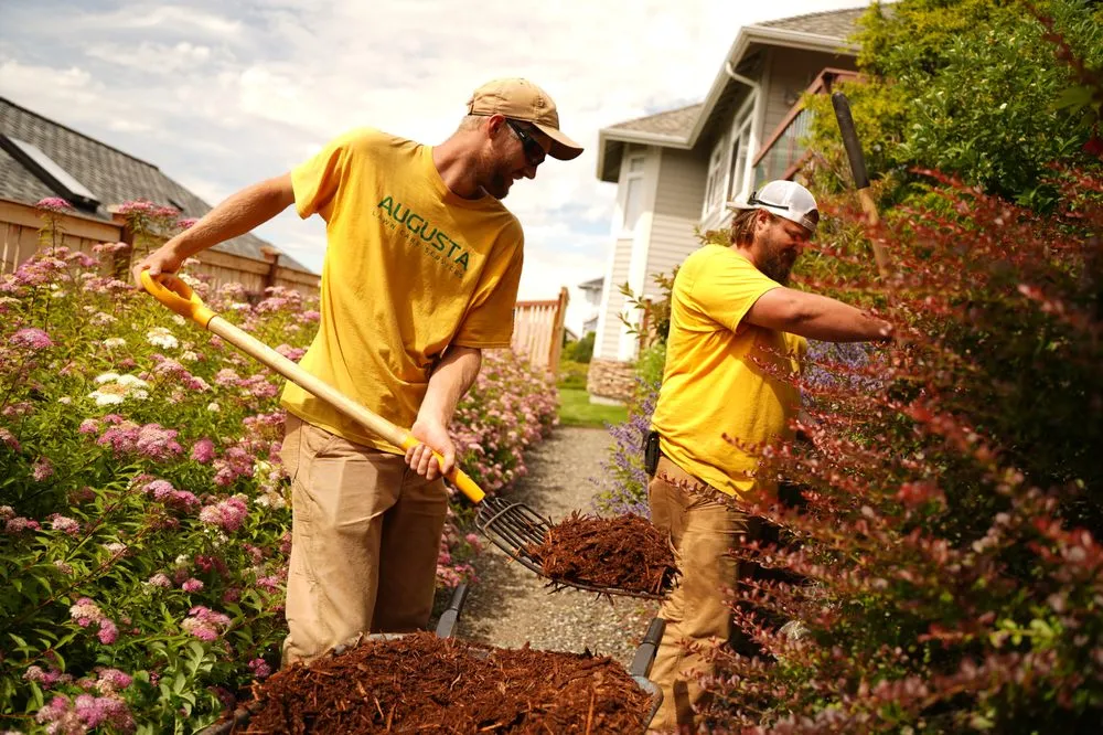 Custom lawn mowing service in Maple Shade, NJ - Augusta Lawn Care Services