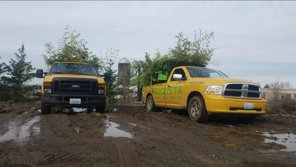 Reliable landscape installation for homes in Milford, CT by Augusta Lawn Care Services