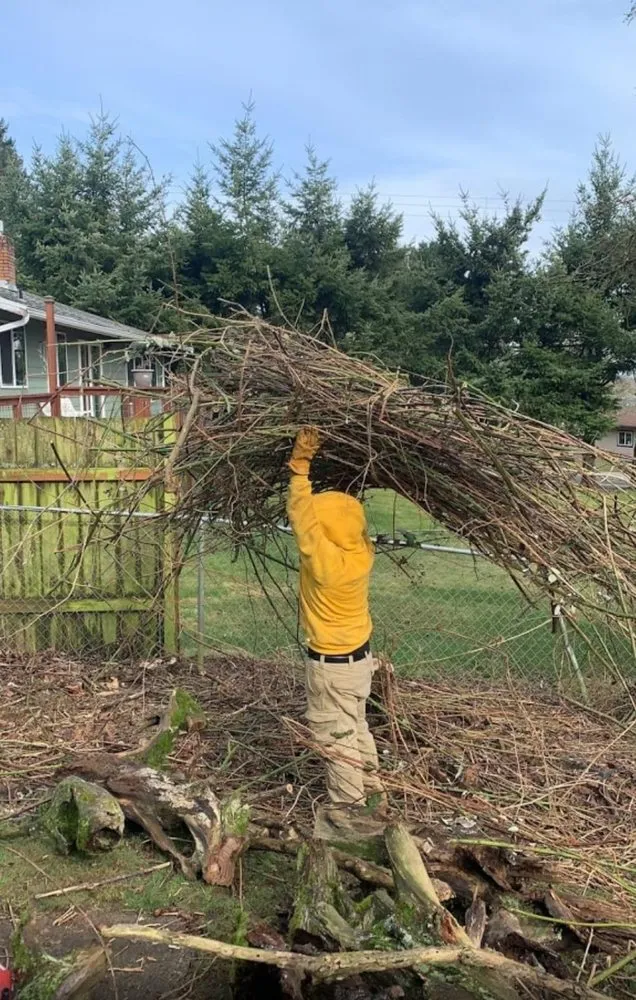 Expert landscape design with custom design across Milford, CT - Augusta Lawn Care Services