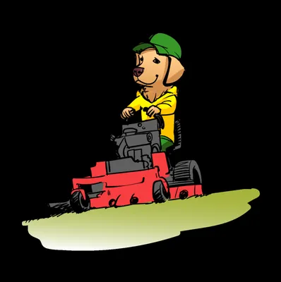 Augusta Lawn Care Services of Biloxi