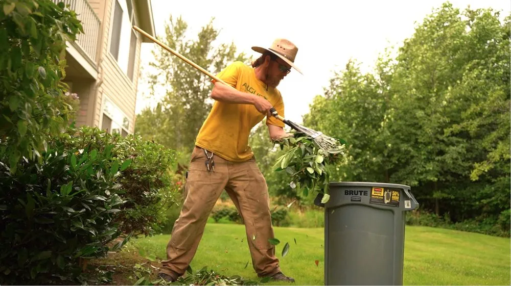 Professional landscaping services experts serving Yorktown, VA - Augusta Lawn Care Services of Grafton