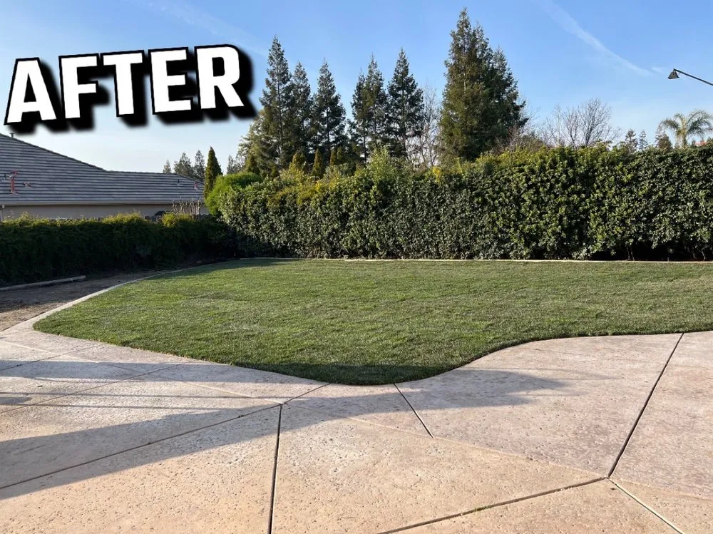 Custom landscape installation experts serving Modesto, CA - Augusta Lawn Care Services of Modesto