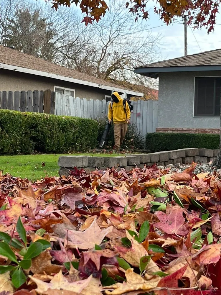 Expert landscaping services experts serving Modesto, CA - Augusta Lawn Care Services of Modesto