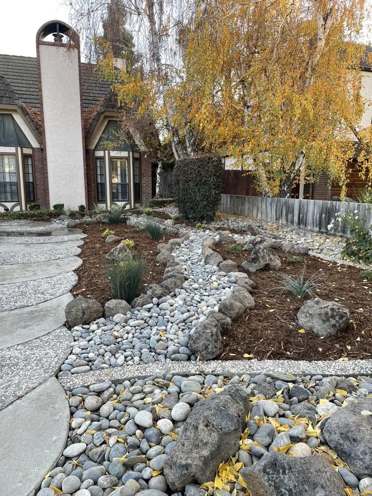 Trusted yard cleanup service in Modesto, CA by Augusta Lawn Care Services of Modesto
